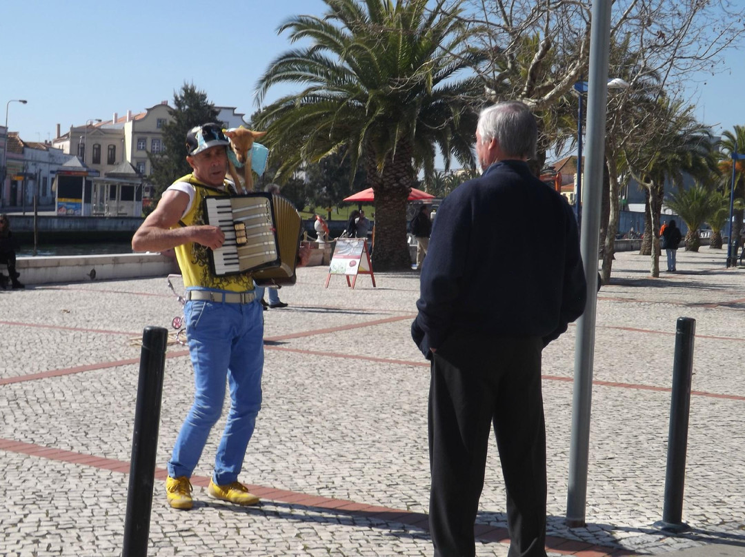 Aveiro Walk Around景点图片