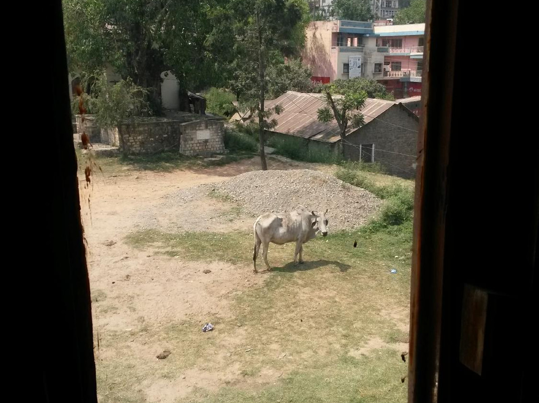 Hotel Hill Top(HPTDC)主图