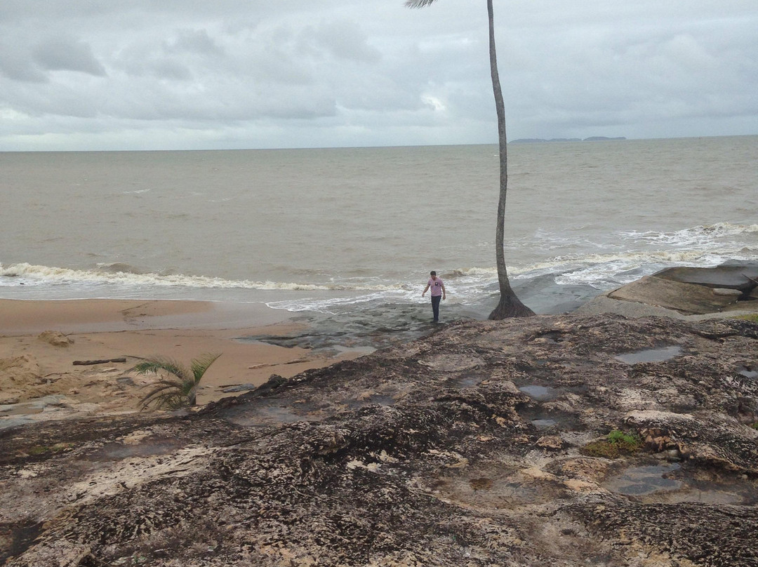 Kourou River-Kourou必去景点