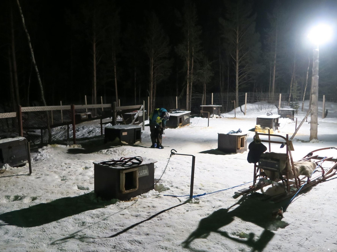 Northern Lights Husky Day Tours-阿尔塔必去景点