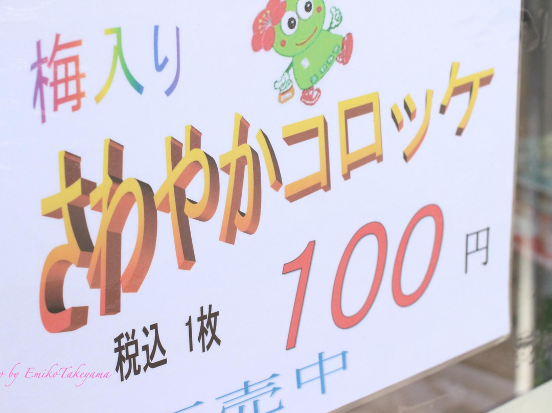 Ome City Ume Park-青梅市必去景点