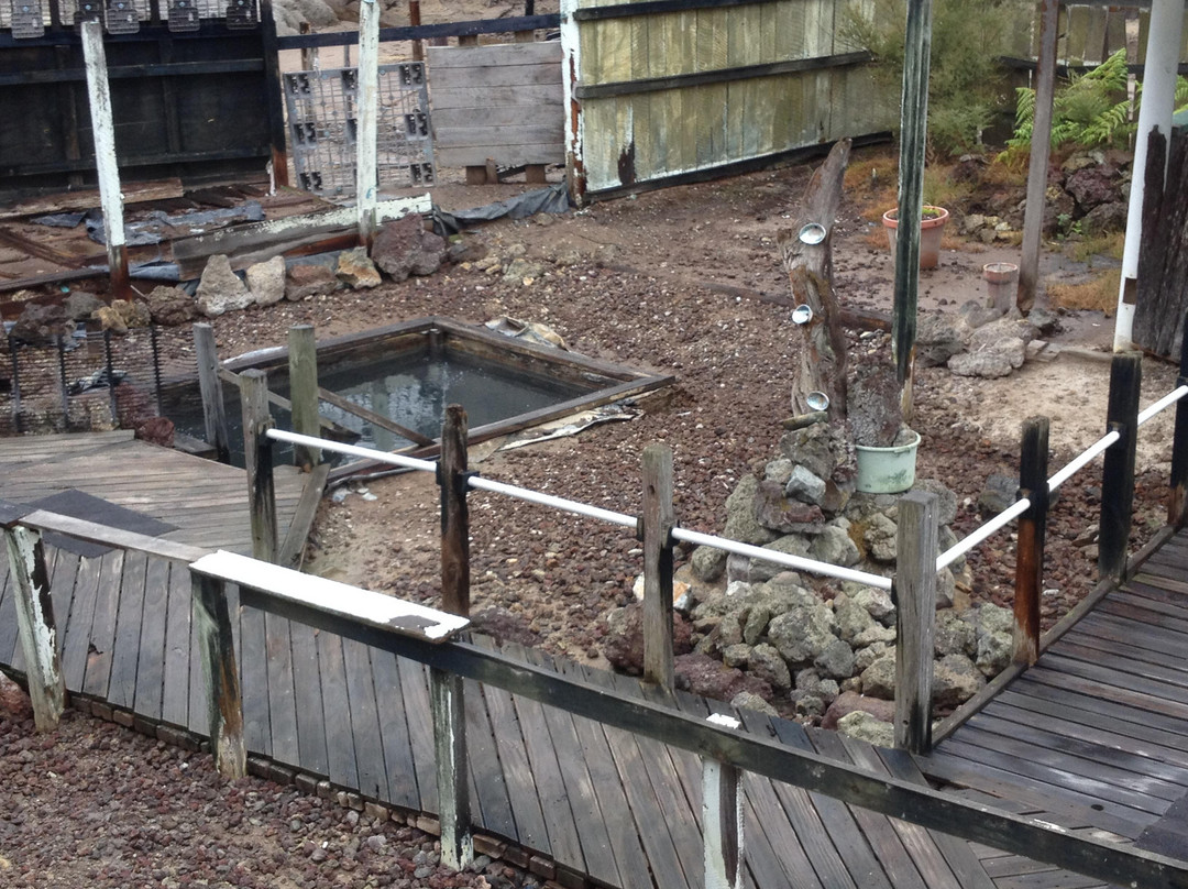 Ngawha Springs-凯科希必去景点