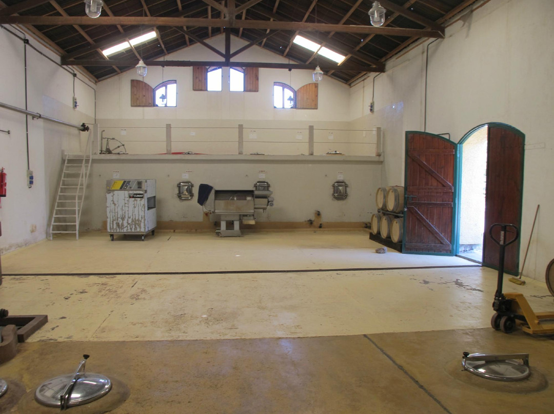 Bodega Las Marianas景点图片