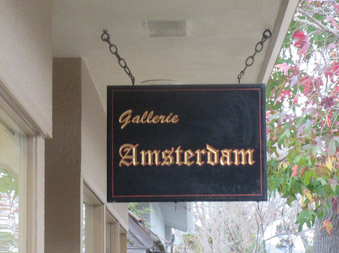 Gallerie Amsterdam-卡梅尔必去景点