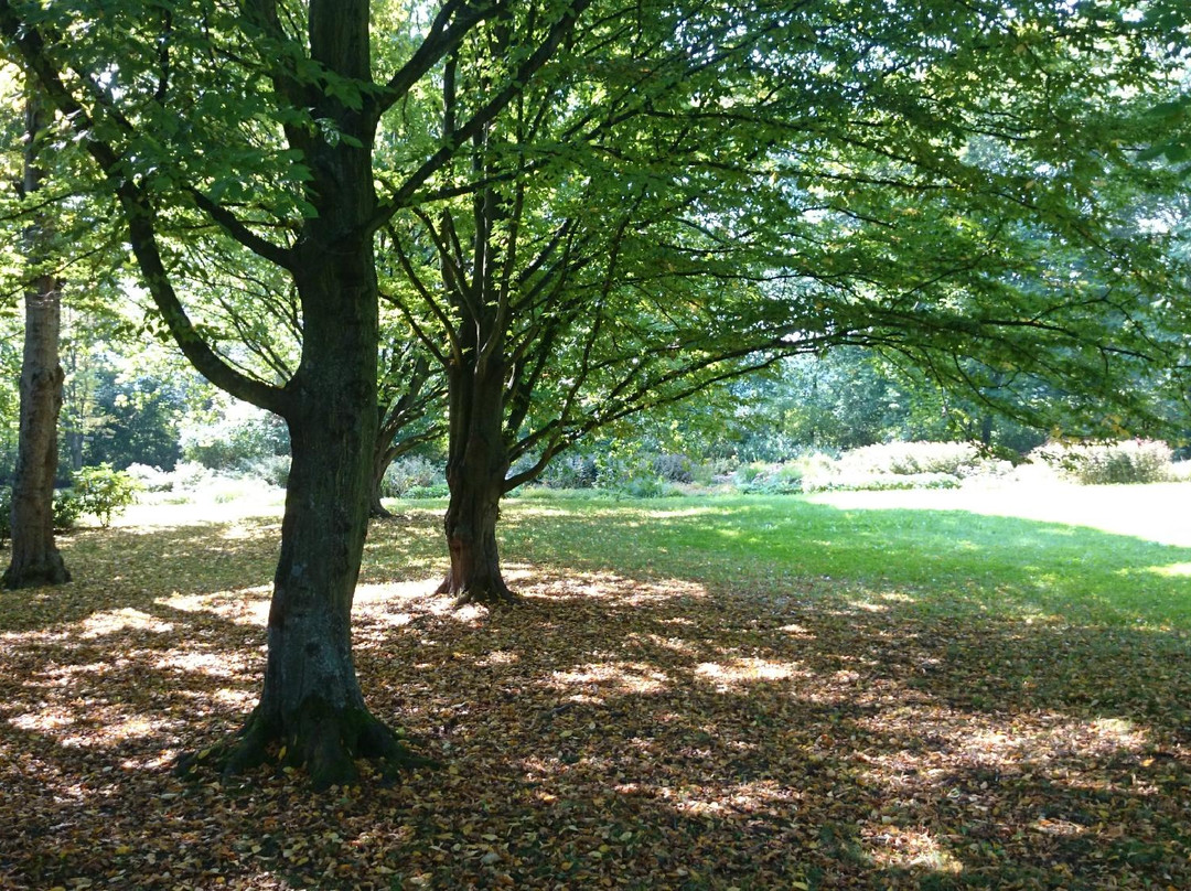 Plauen Park景点图片