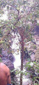 Cachoeira Do Cha-Tapirai必去景点