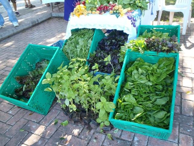 Mercado Orgánico Huatulco-Crucecita必去景点