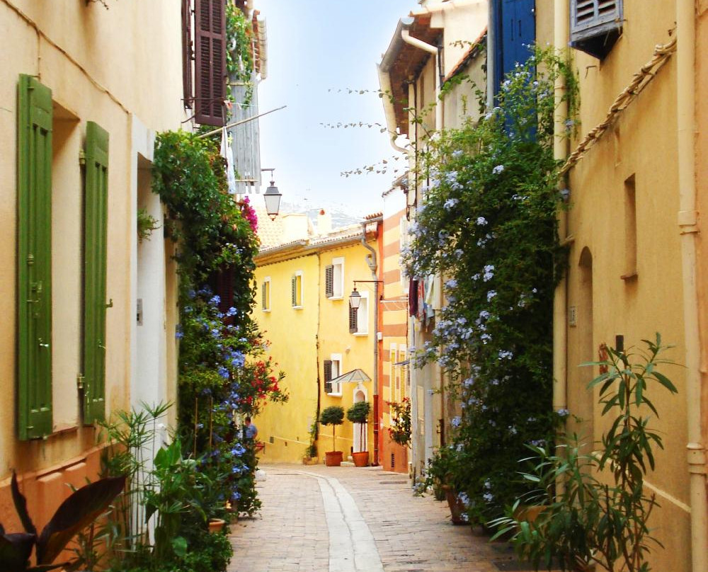 Grape Escapes Provence景点图片