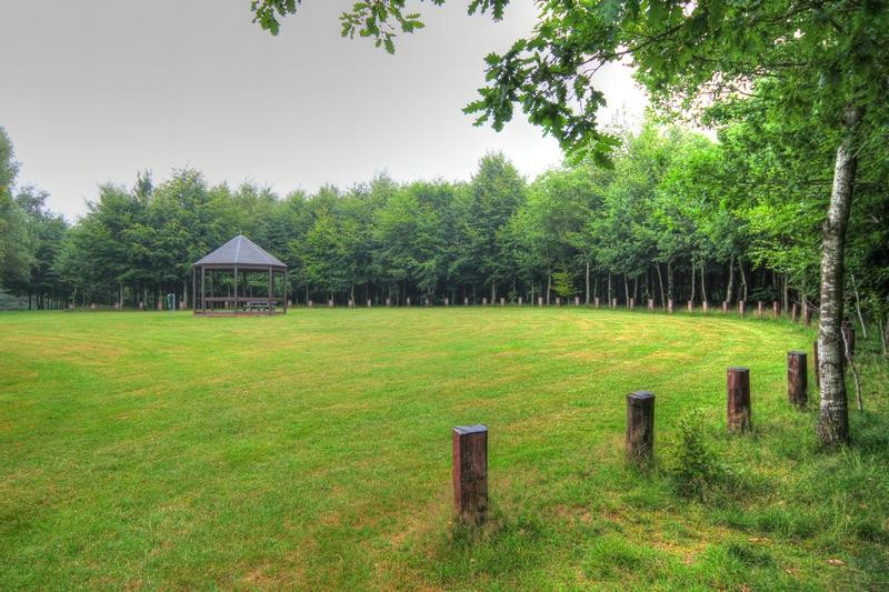 Le Bois de la Paix景点图片