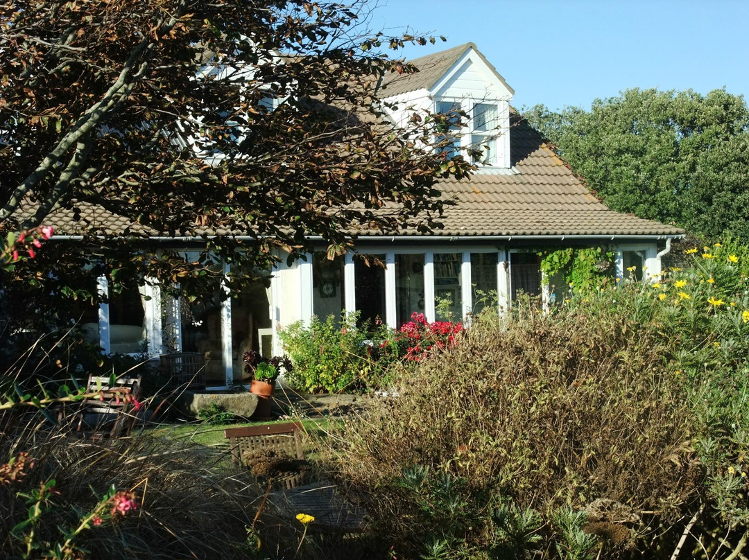 Sark酒店住宿-Sue's B&B