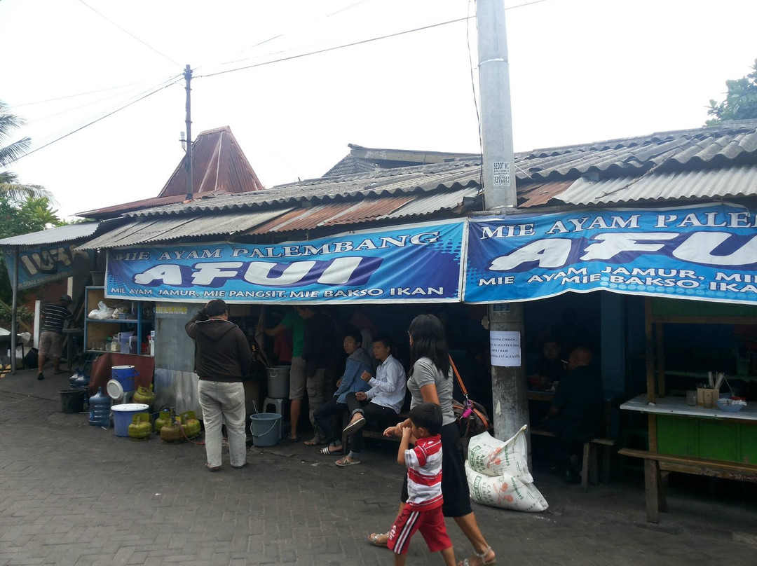 Mie Ayam Palembang Afui