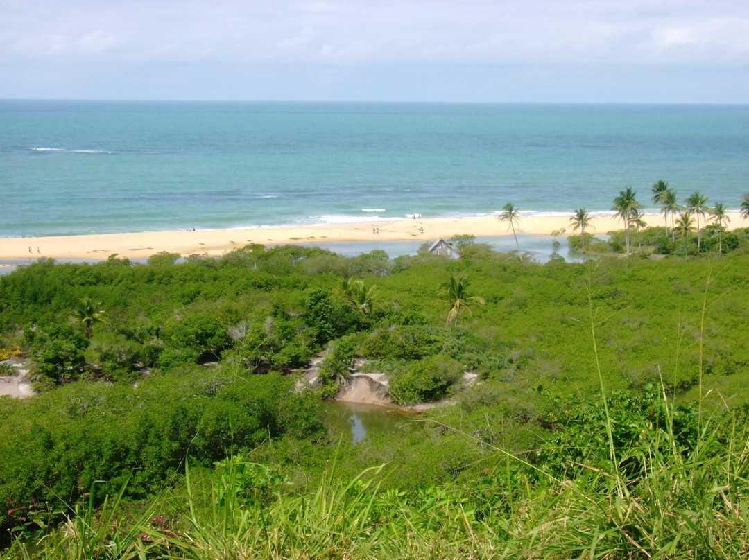 Praia de Pitinga-Arraial d'Ajuda必去景点