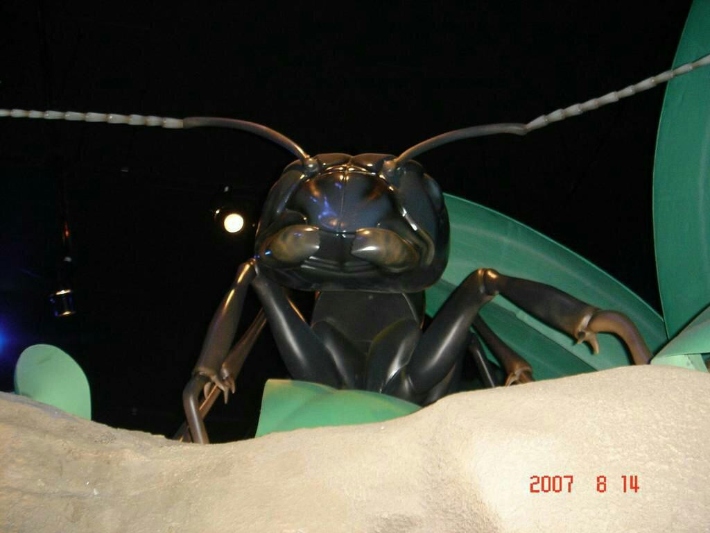 The Firefly Museum of Toyota Town-下关市必去景点
