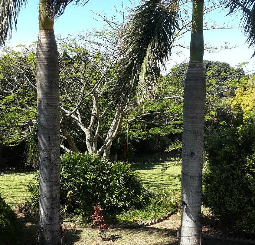 B&B Ebenezer Palms主图