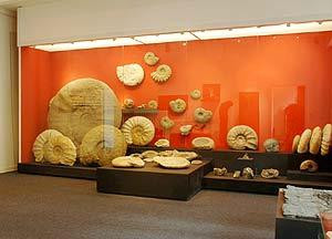 Mineralien Museum景点图片