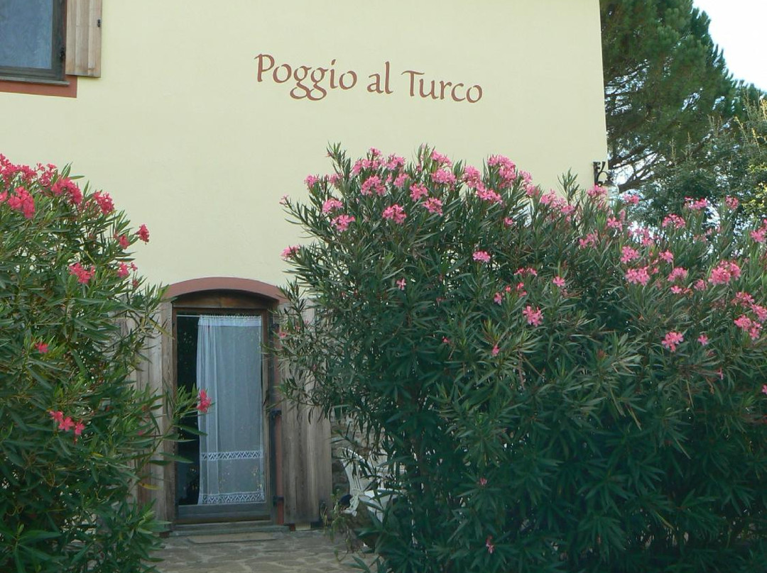 Ferienhaus Poggio Al Turco