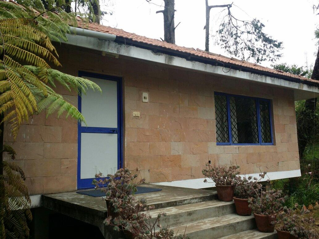 Mangalamkombu旅游攻略图片