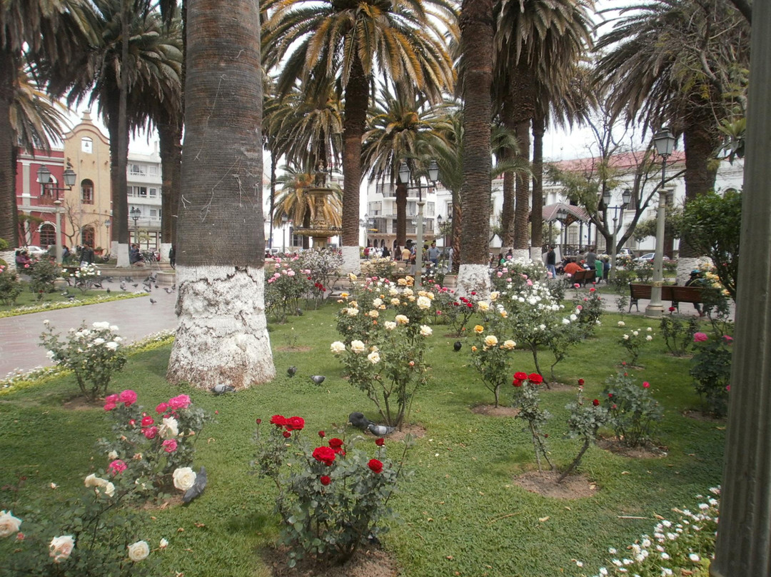 Plaza Luis de Fuentes-塔里哈必去景点