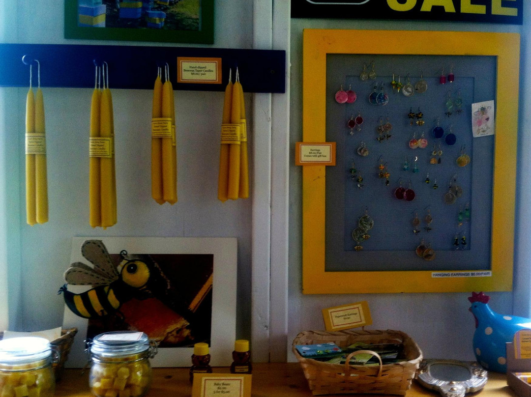 Sweet Betsy Farm-Marion必去景点