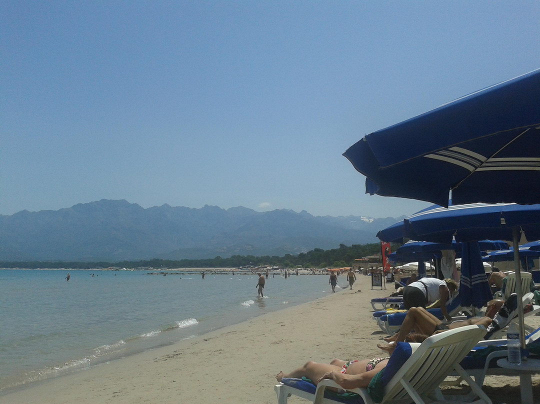 Plage de Calvi-卡尔维必去景点