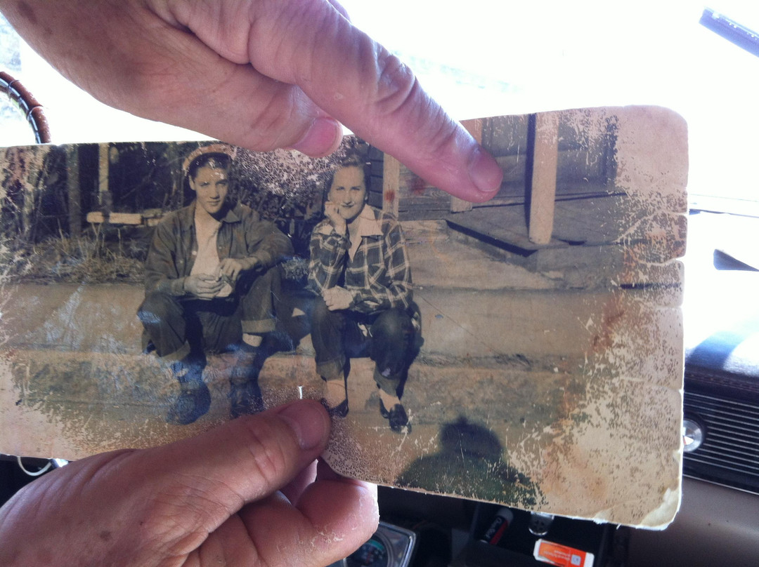 American Dream Safari-孟菲斯必去景点