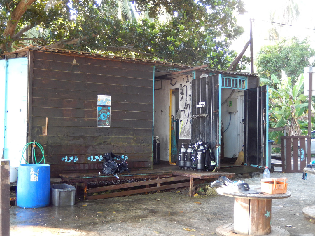 Abalone Plongée-Boueni必去景点