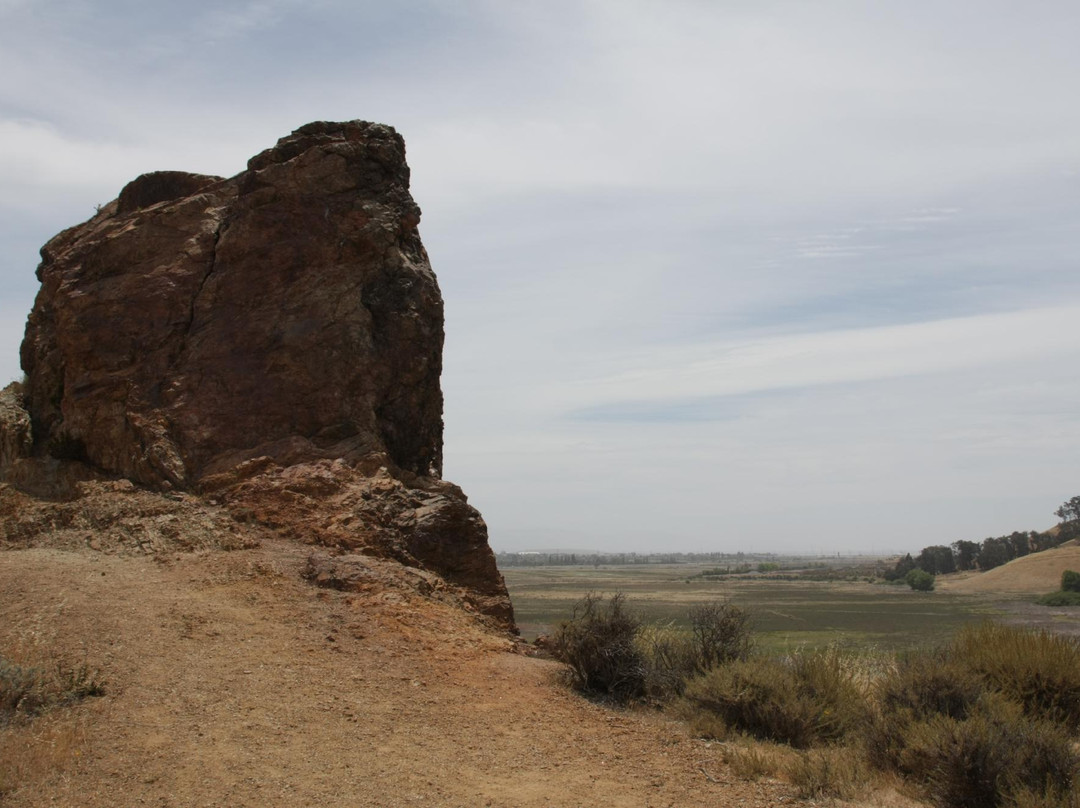 Coyote Hills Regional Park-费利蒙必去景点