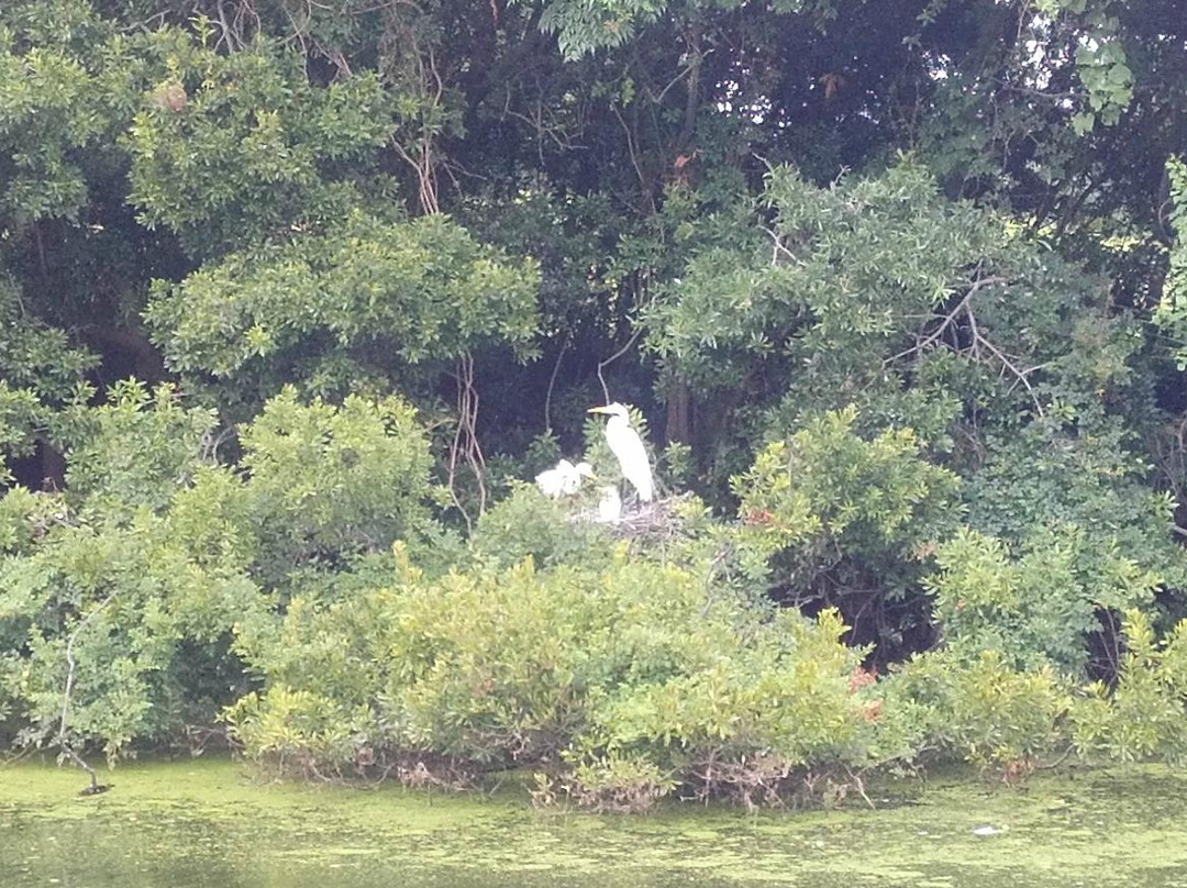 TGC at Pleasant Point Plantation景点图片