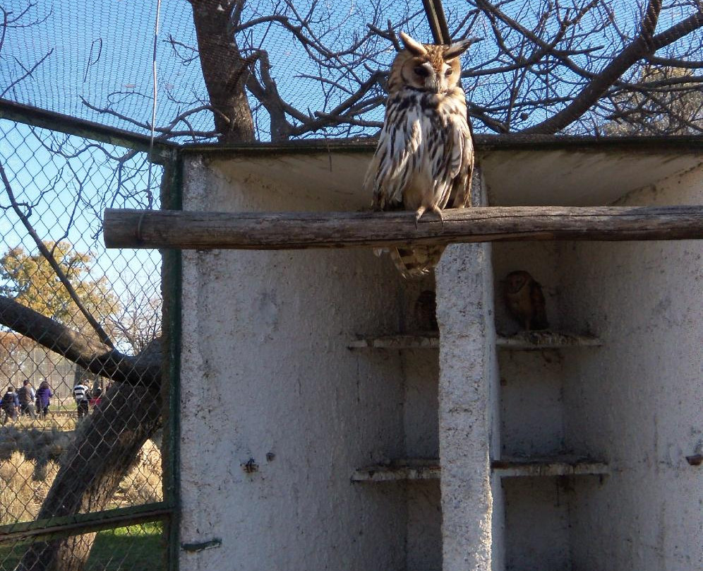 Parque Zoologico La Maxima-Olavarria必去景点