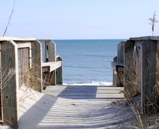 The Dragonfly Inn主图