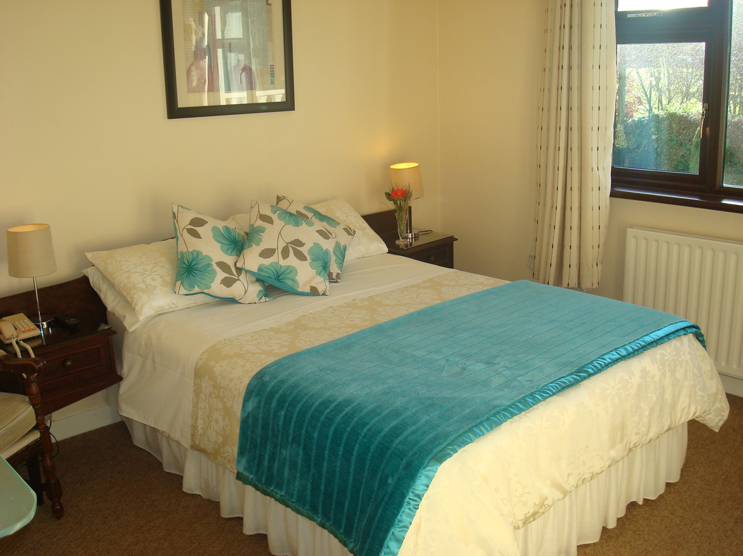 Navan酒店住宿-Athlumney Manor B&B