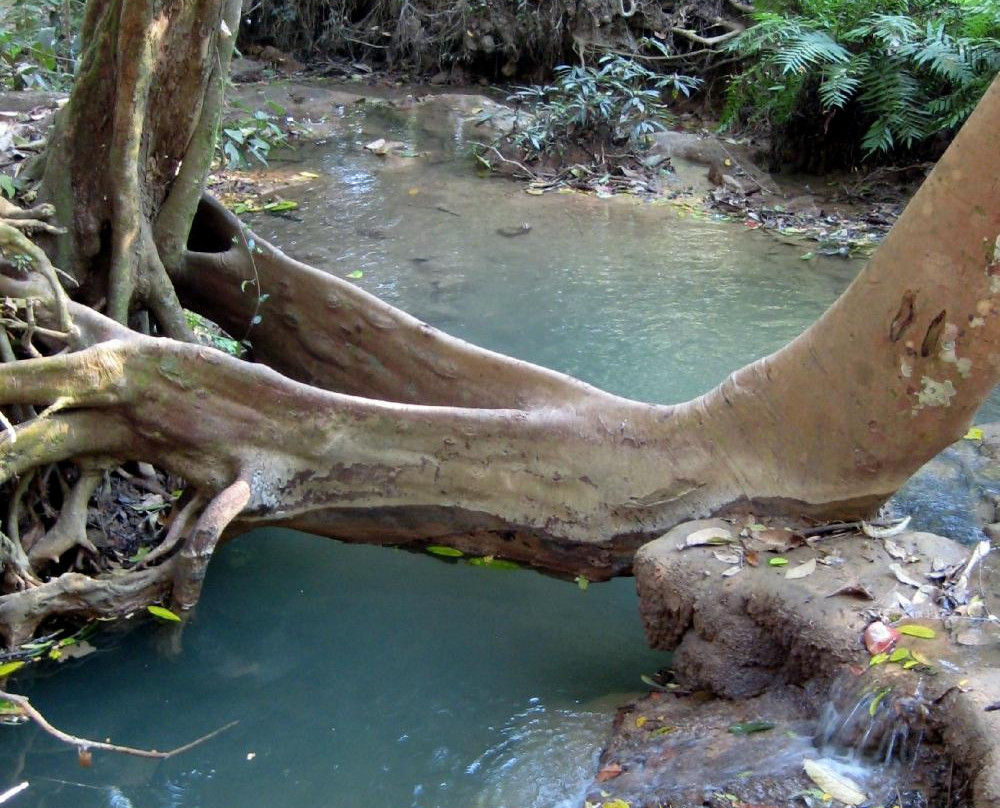 Namtok Huai Rong Waterfall景点图片