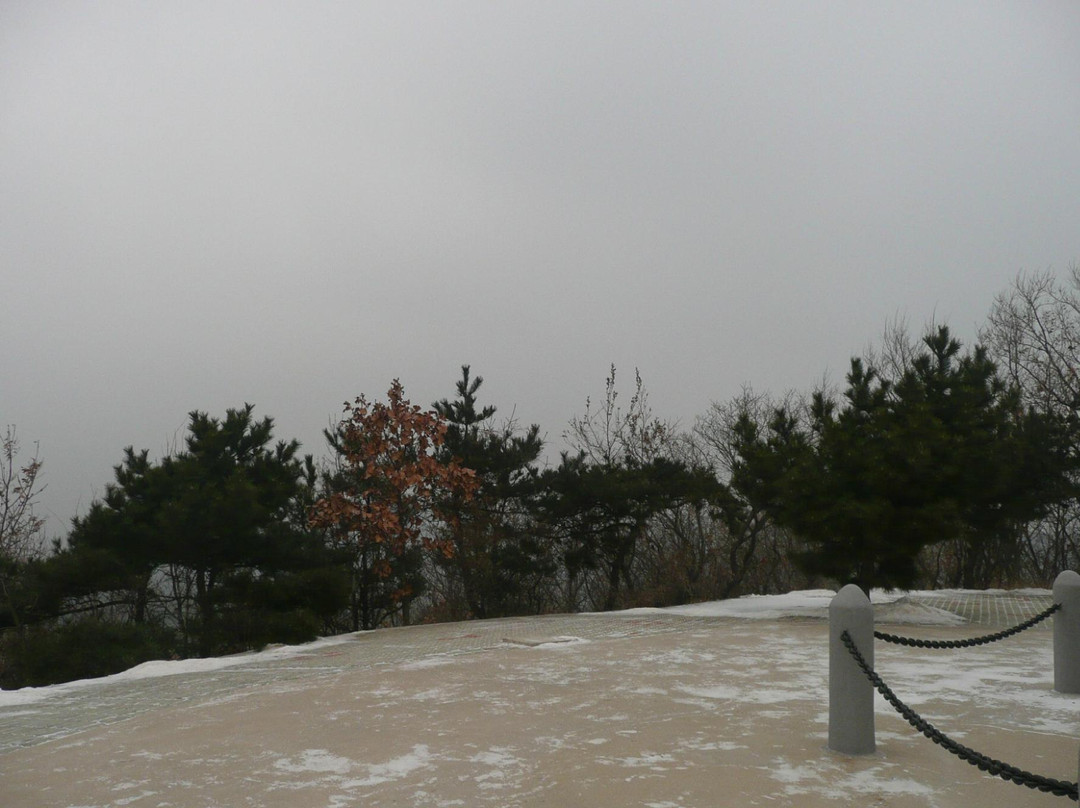 猴石山-大连市必去景点