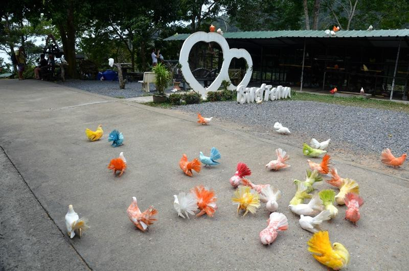 天堂公园农场-苏梅岛必去景点