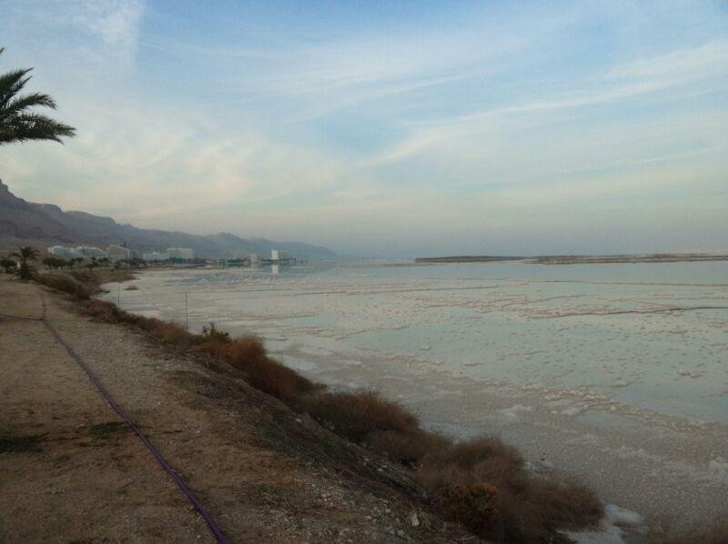 Guia Brasileiro Em Israel -  Tours-特拉维夫必去景点