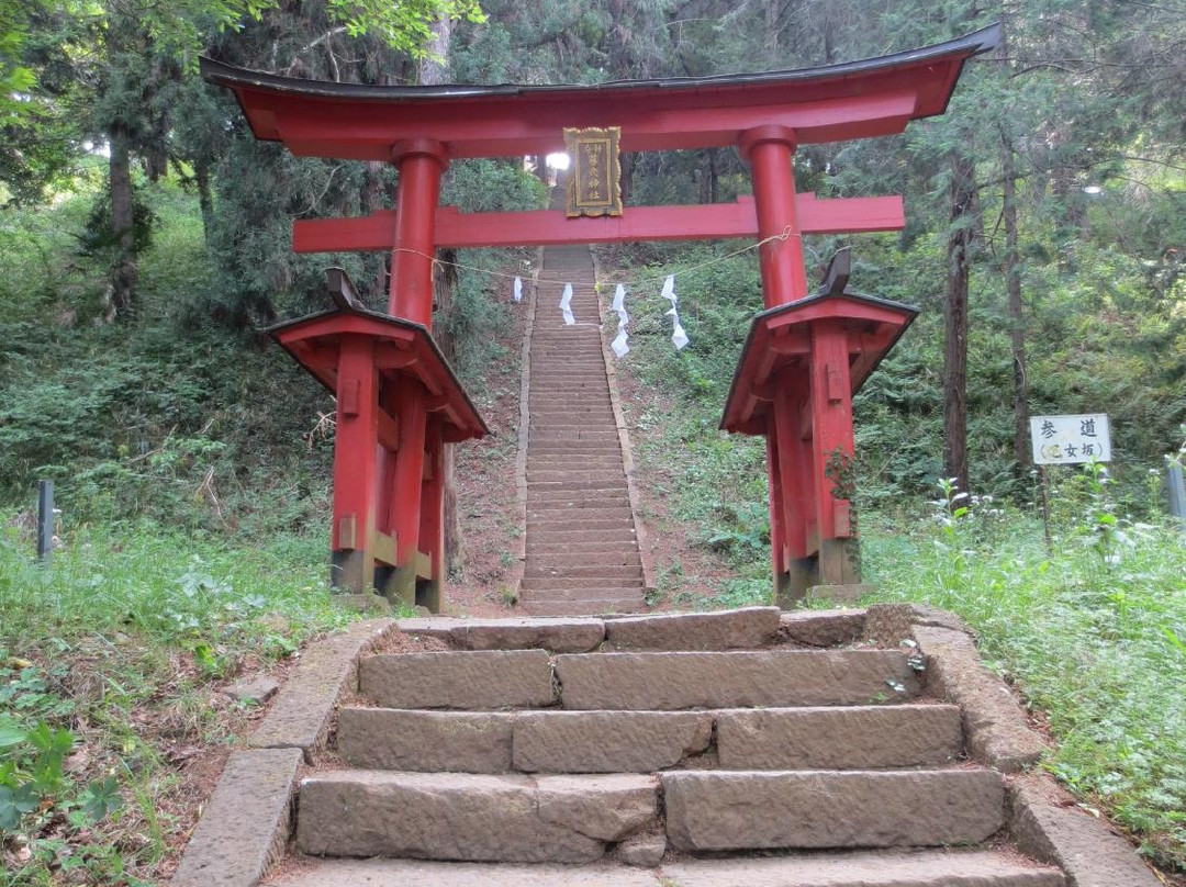 Shinfu Castle Site景点图片