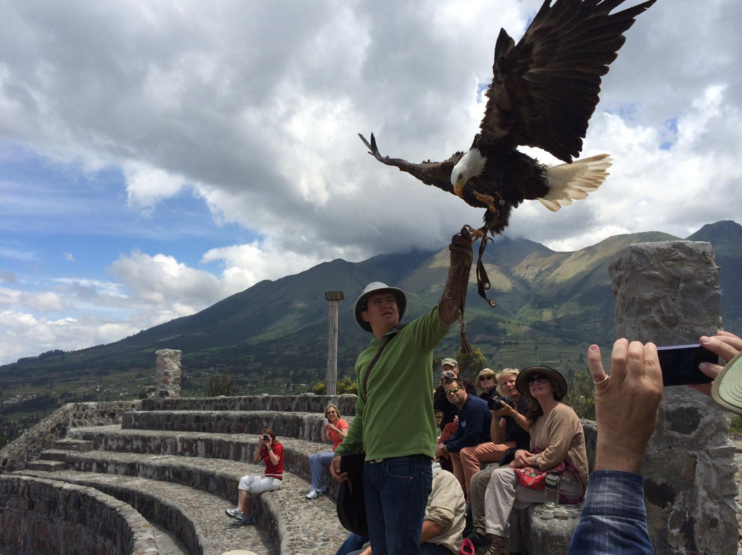 Condor Park景点图片