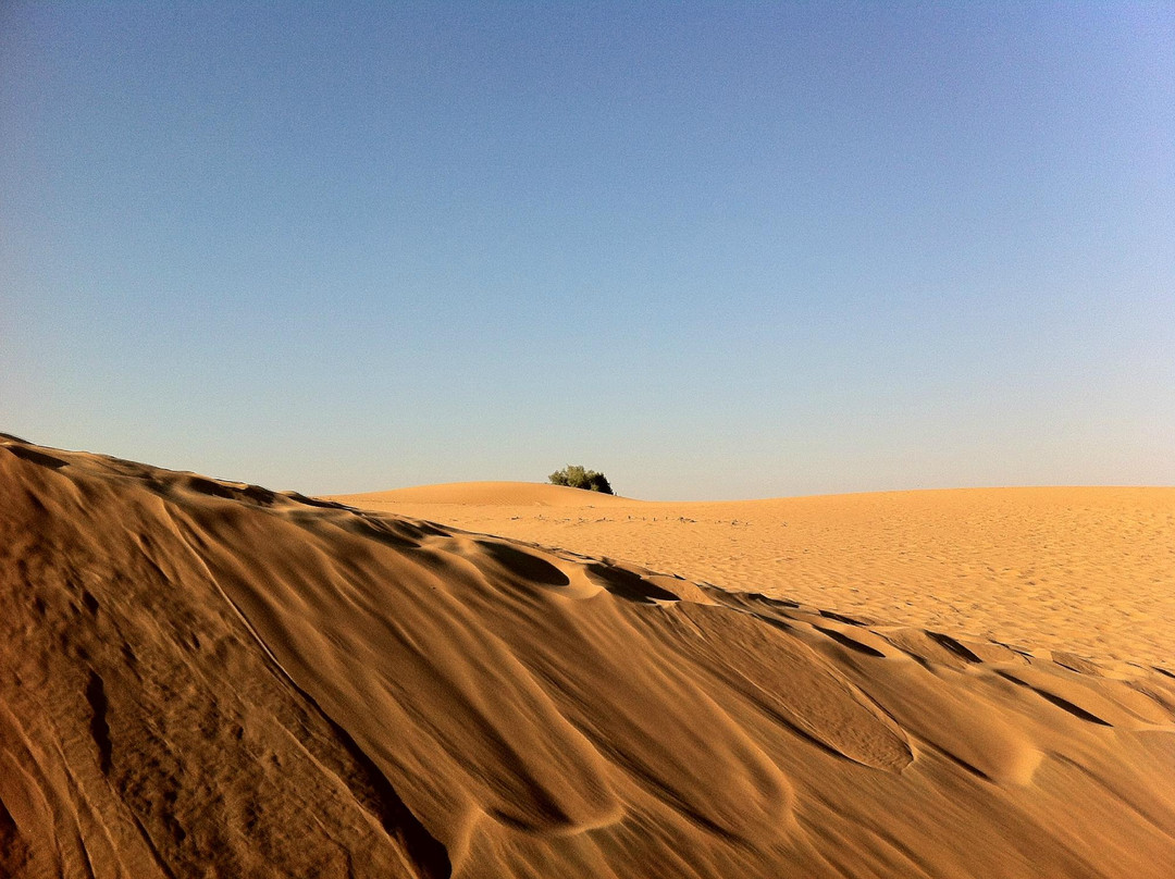 迪拜沙漠保护区-迪拜酋长国必去景点