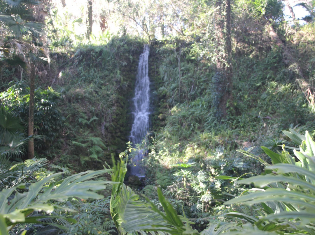 Rainbow Springs State Park-Dunnellon必去景点