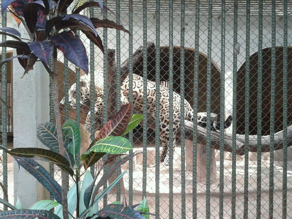 Zoologico Municipal de Sao Jose do Rio Preto