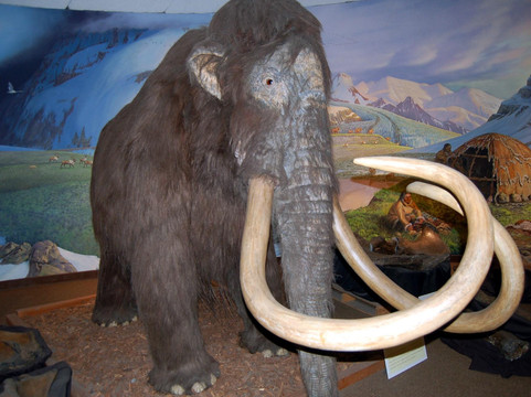 佩吉博物馆-洛杉矶必去景点