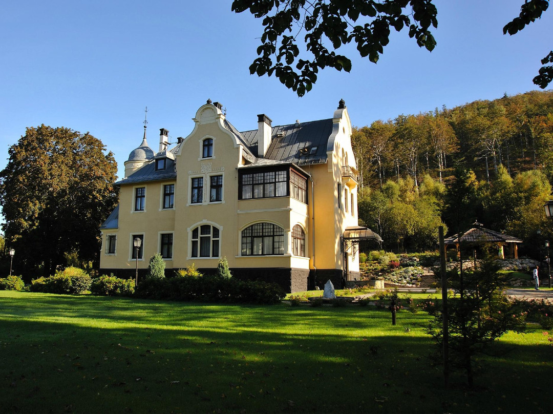 Stronie Slaskie酒店住宿-Villa Elise Park Pension
