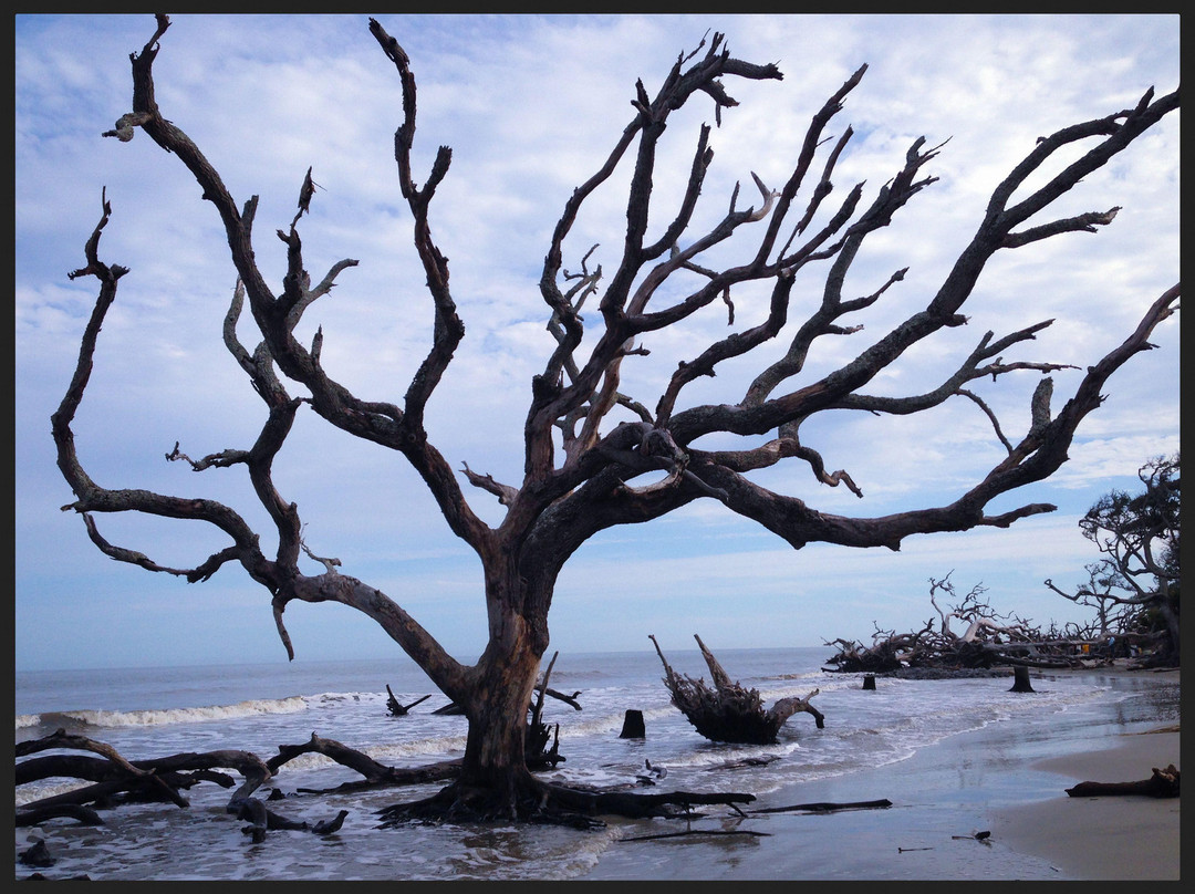 Driftwood Beach-吉柯岛必去景点