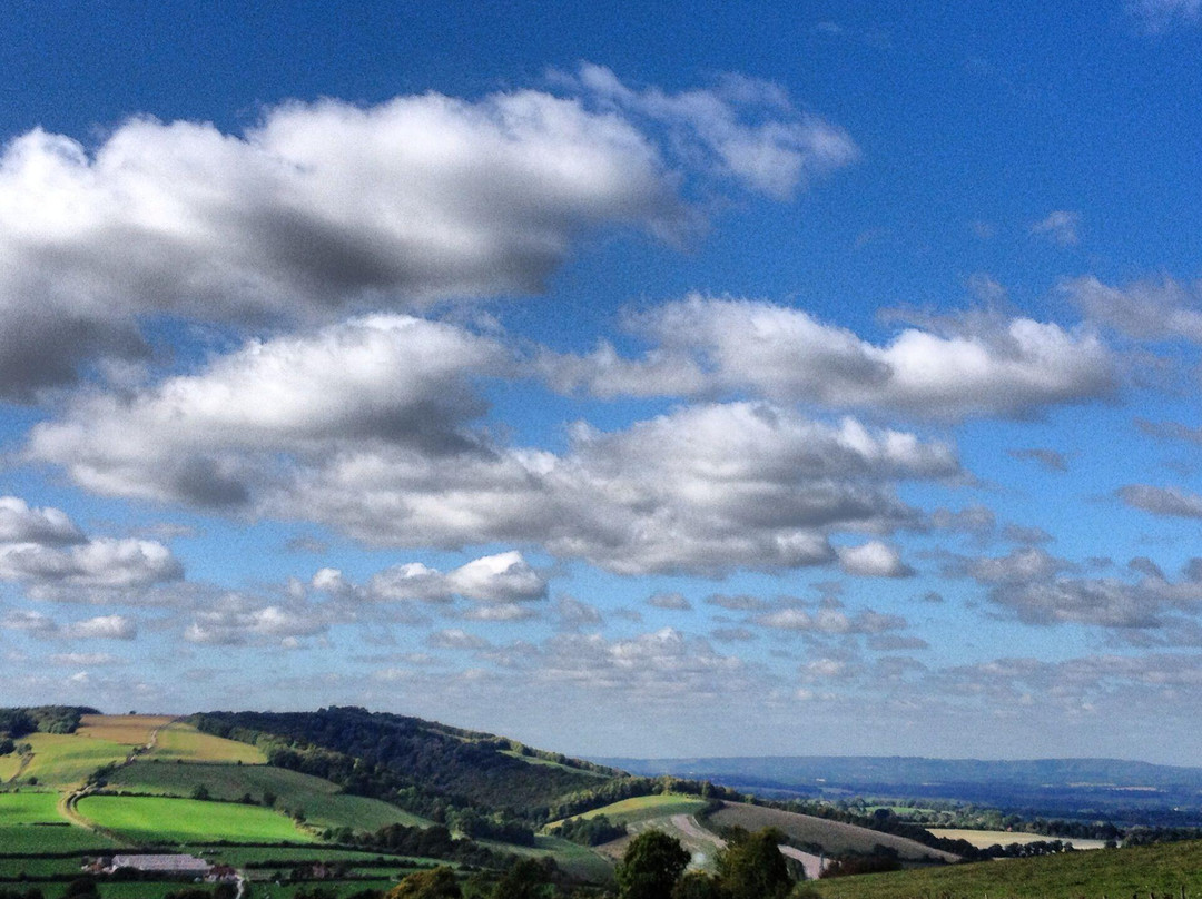 South Downs Way National Trail景点图片