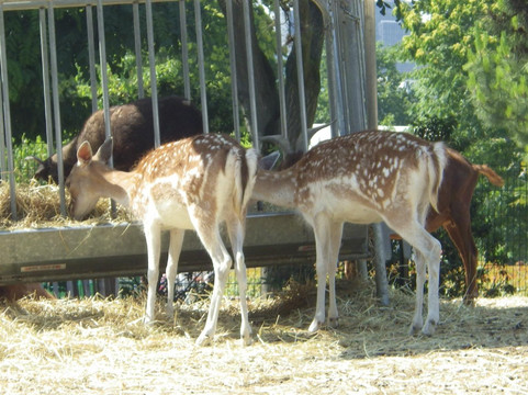 巴黎风情园-巴黎必去景点