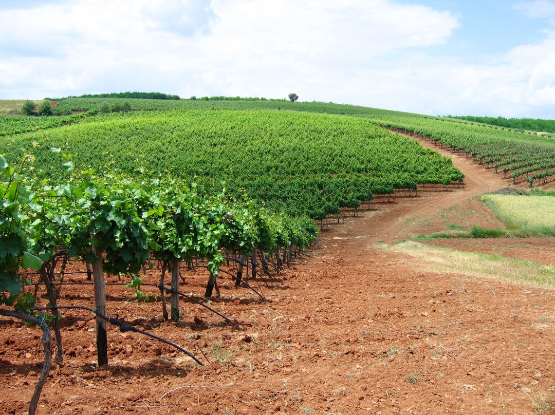 Domaine Kikones景点图片