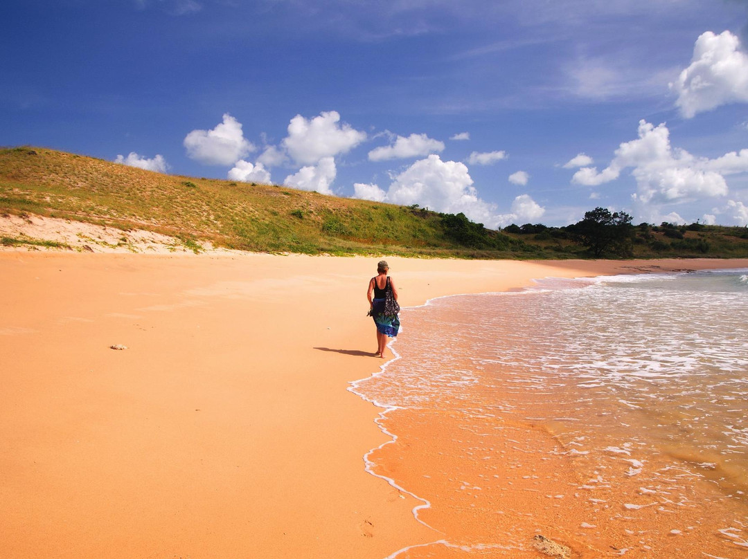 Bremer Island旅游攻略图片