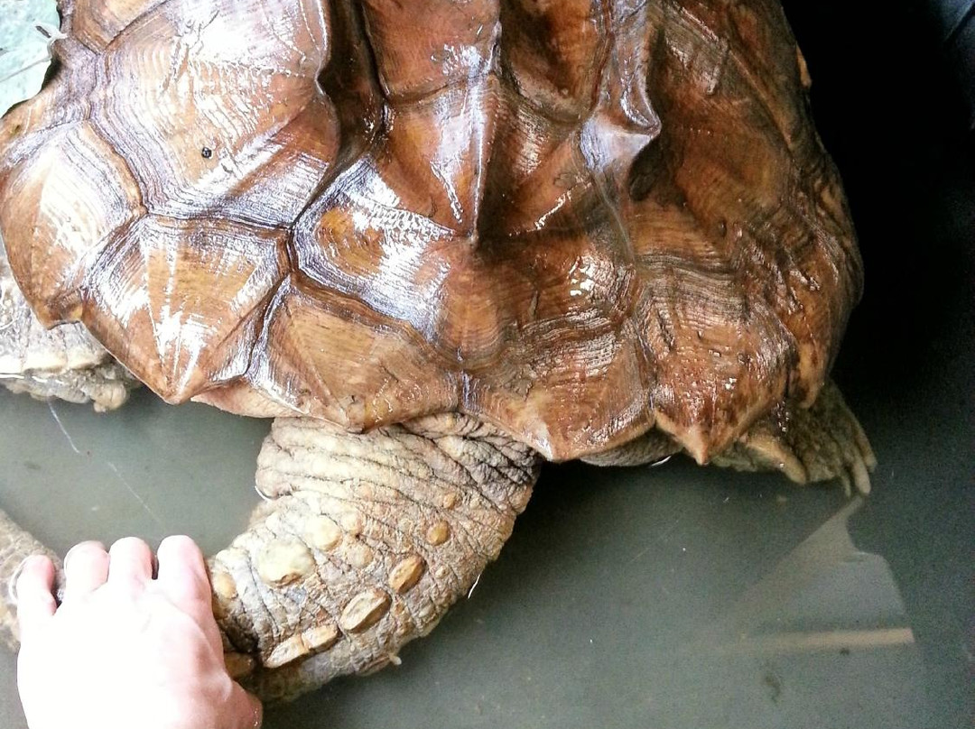 Heaven's Corner Zoo & Animal Sanctuary-West Alexandria必去景点