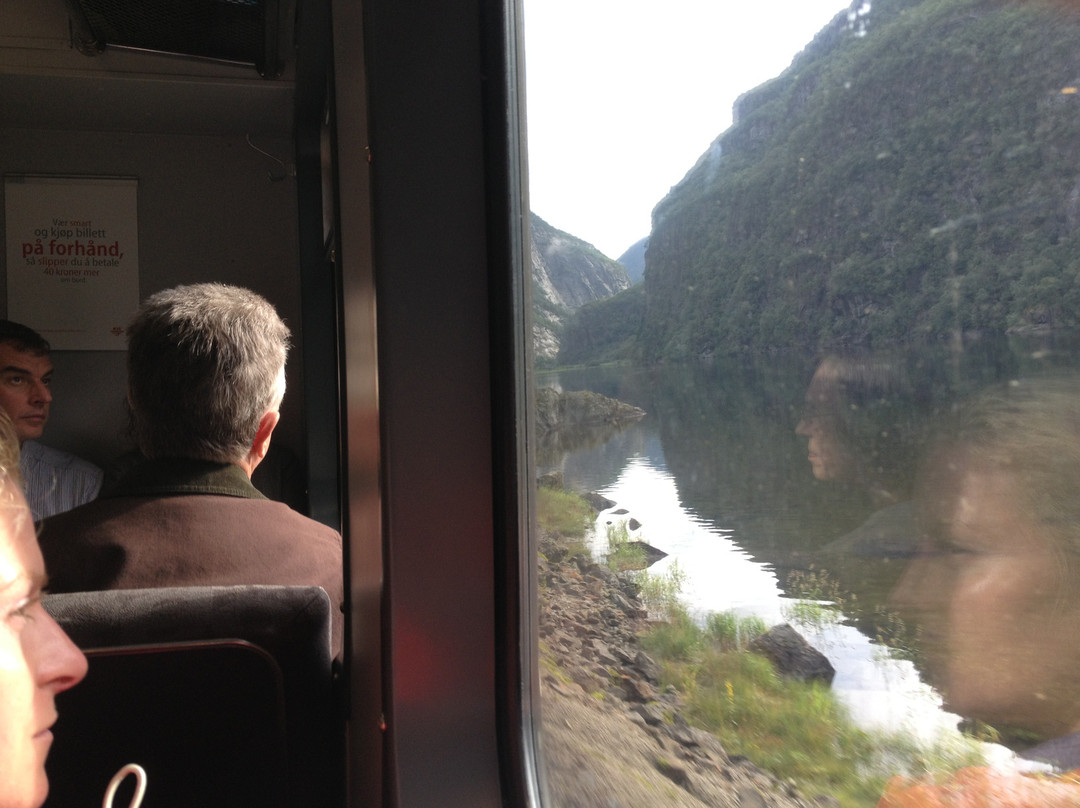 The Bergen Railway-奥斯陆必去景点