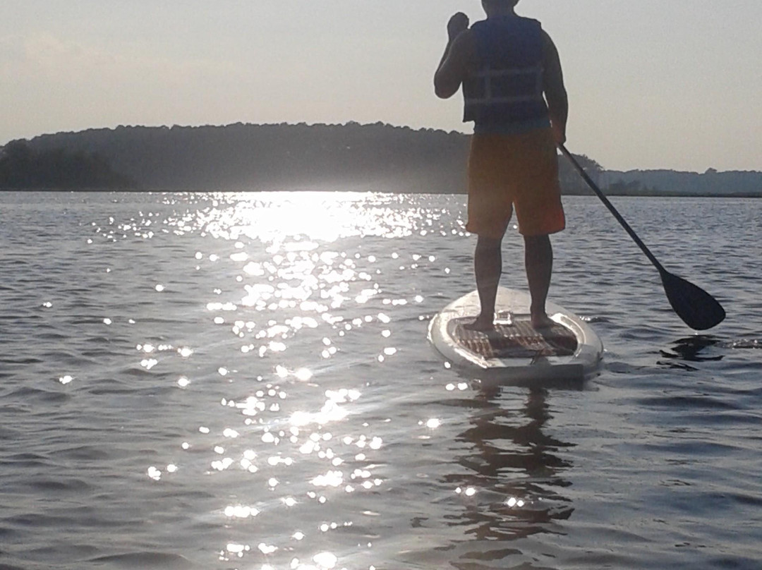 Delmarva Board Sport Adventures-Dewey Beach必去景点